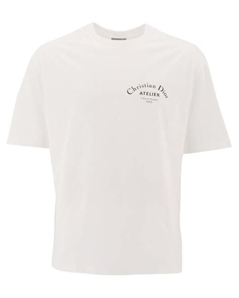 tee shirt christian dior homme|christian dior luxury shirt.